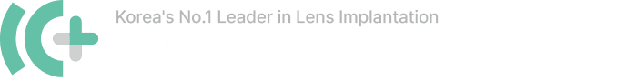Doctor ICL Vision